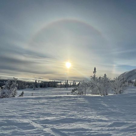 Villa Edvinsvaeg 8 Åre Eksteriør billede