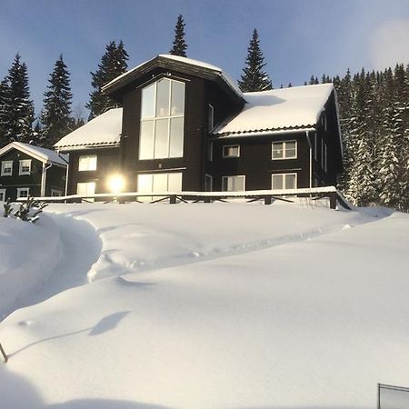 Villa Edvinsvaeg 8 Åre Eksteriør billede