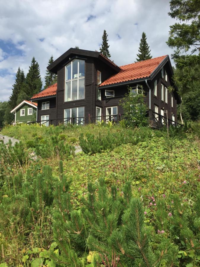 Villa Edvinsvaeg 8 Åre Eksteriør billede