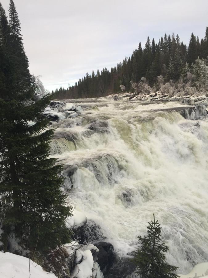 Villa Edvinsvaeg 8 Åre Eksteriør billede