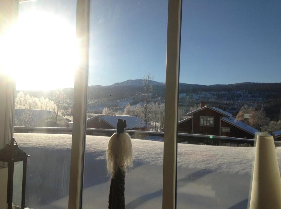 Villa Edvinsvaeg 8 Åre Eksteriør billede
