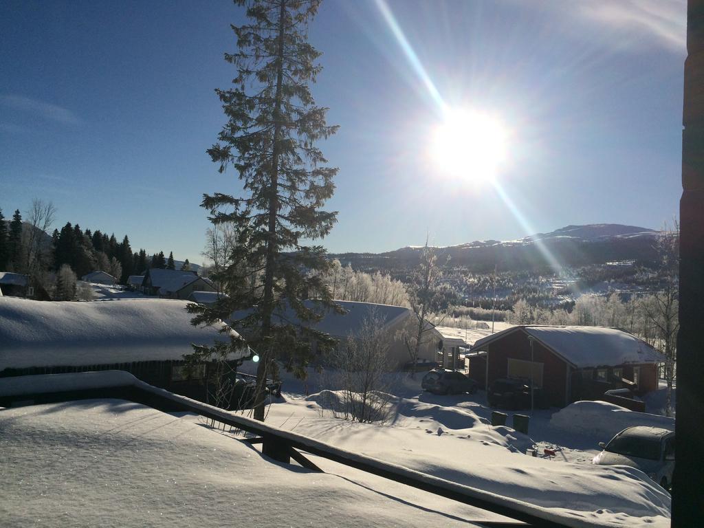 Villa Edvinsvaeg 8 Åre Eksteriør billede