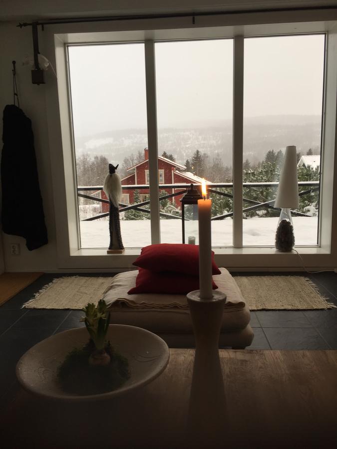 Villa Edvinsvaeg 8 Åre Eksteriør billede